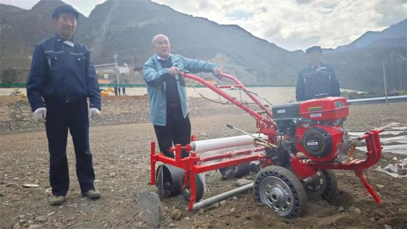 玉米粮食烘干机：选购要点与市场分析